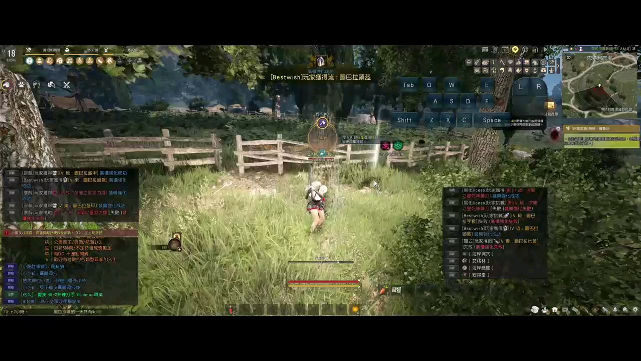 黑色沙漠游戏一