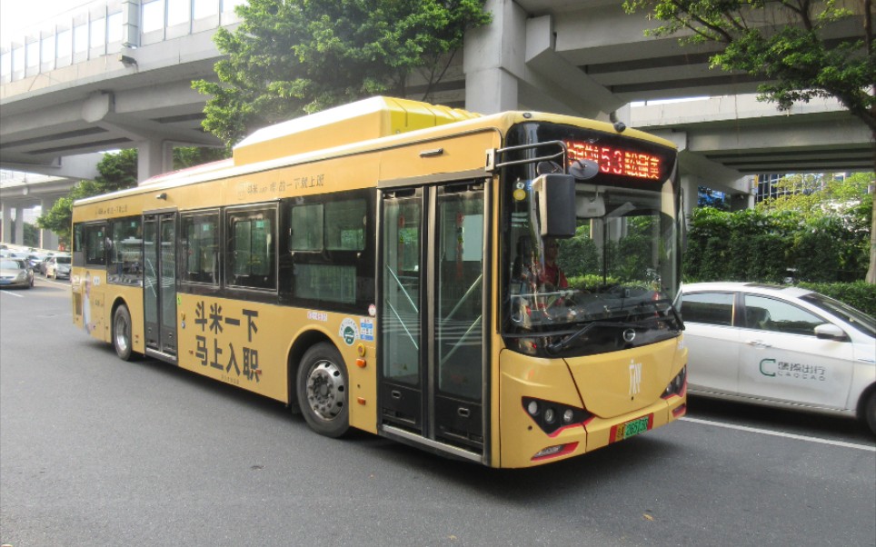 广州53路快车公交线路杨桃公园美林湖畔总站宝岗大道总站