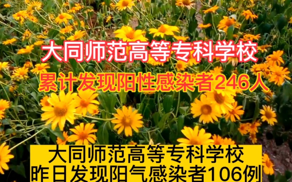 大同师范高等专科学校,累计发现阳性感染者246人!看什么情况?哔哩哔哩bilibili