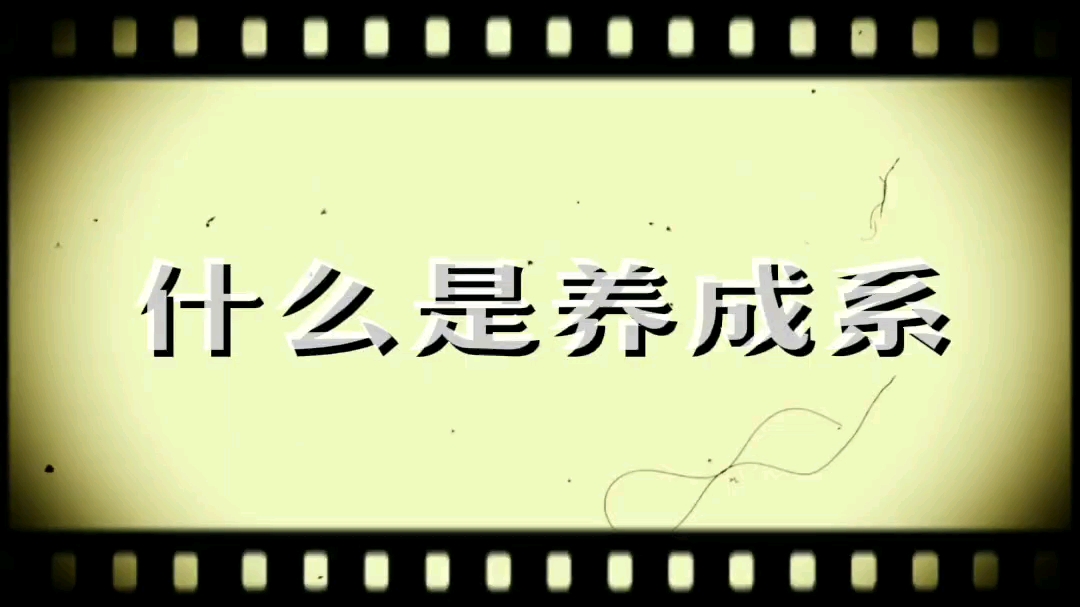 [图]“看得见太阳吗？” 50秒从芽芽到亚亚