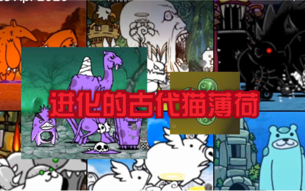 猫咪大战争thebattlecats进化的古代猫薄荷入口全部ex关卡同一阵型