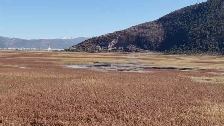 海角社区的风景,现在都不需要钻石了.可以去看看了,可以归位了哔哩哔哩bilibili