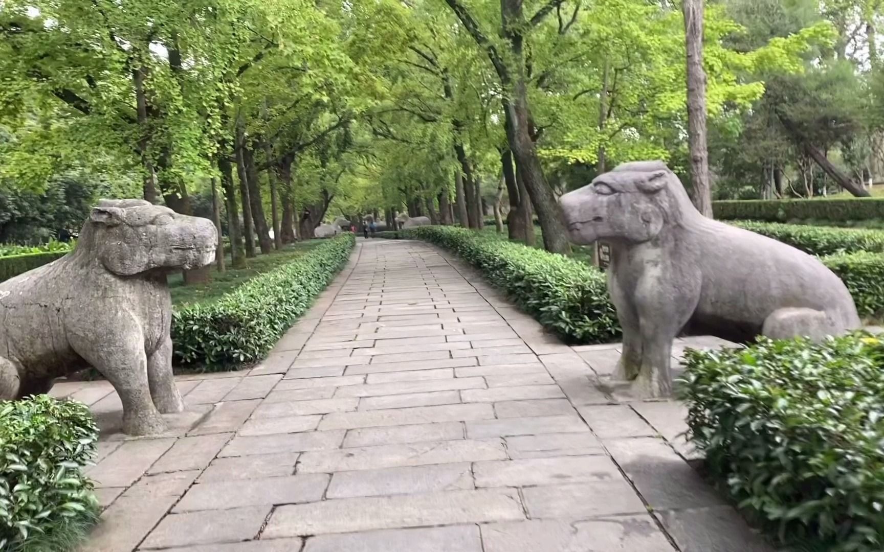 明孝陵神道为什么有这么多石人石兽镇守?有什么典故吗?本期揭秘