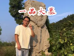 Download Video: 大山里发现石人石马，竟是一座400年前的一品大墓！可惜被盗了。