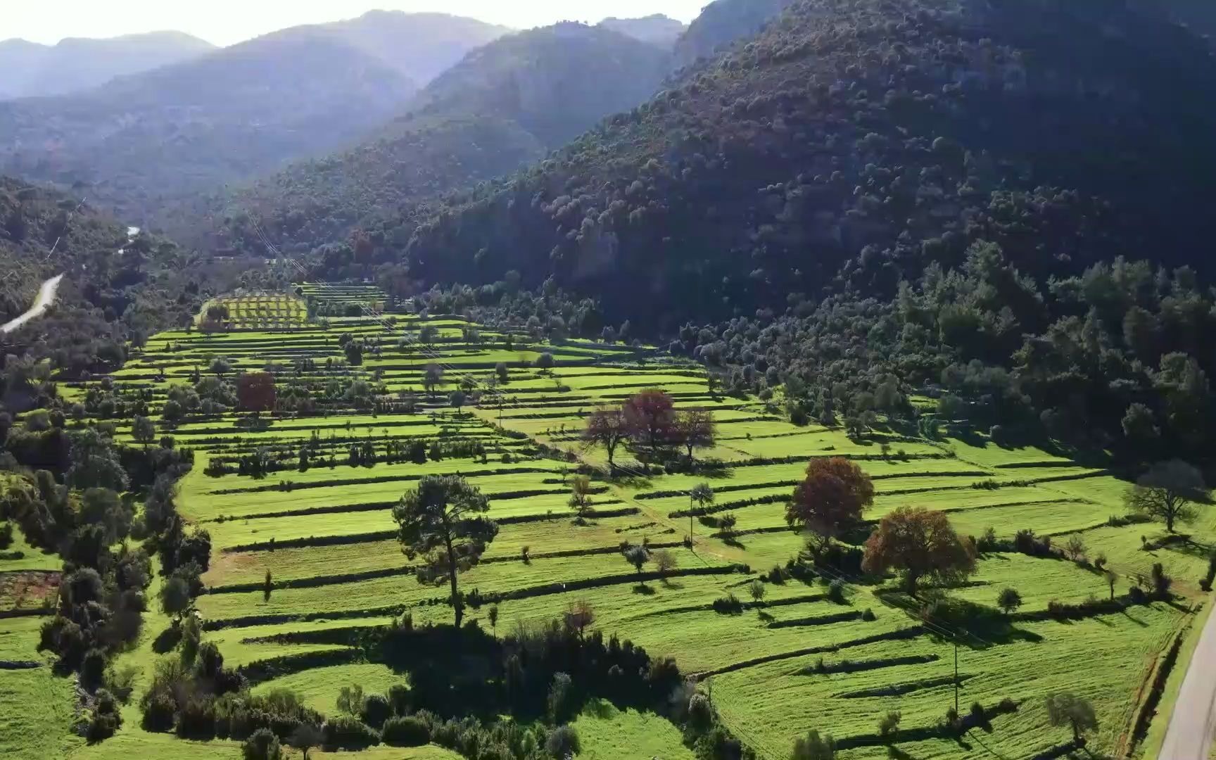 [图]每日催眠曲，伴你度过每一天，好好休息，睡个好觉