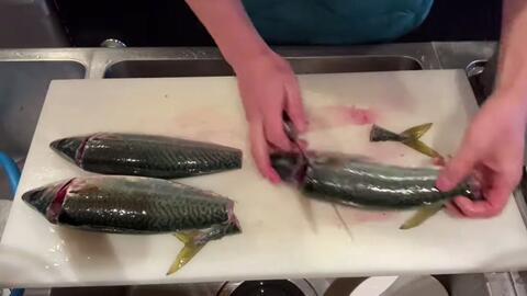 花身仔三吃 放血後熟成三天做生魚片 哔哩哔哩