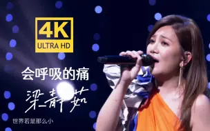 Descargar video: 【4K修复】梁静茹 - 会呼吸的痛  个人感觉现场最佳