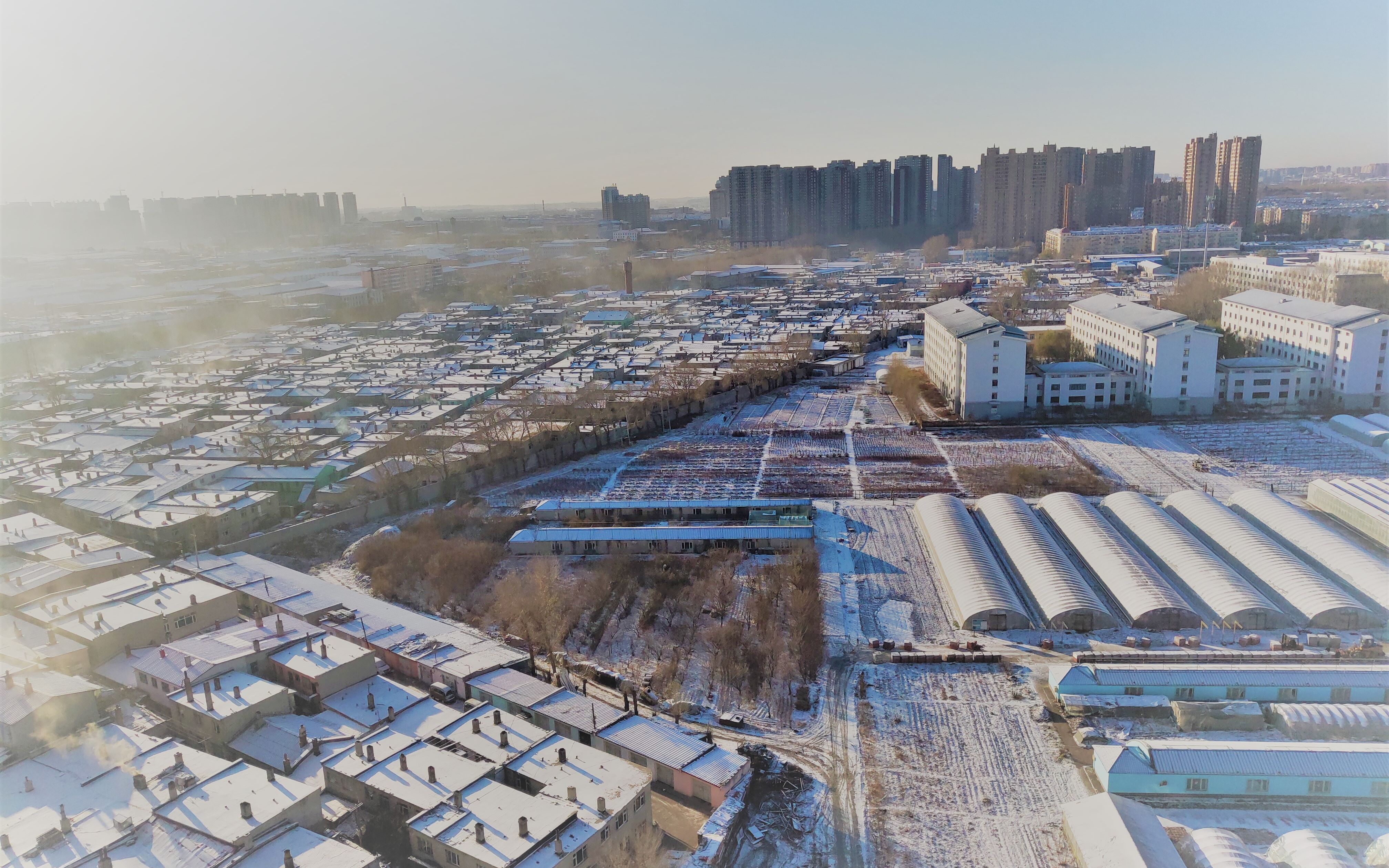 [图]【北方初雪】哈尔滨十一月的第一场雪到底有多大？带你看看东北农业大学第一场雪