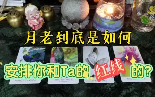 Download Video: 【陶大宝】大众占卜：月老到底是如何安排你和Ta的红线的？剧透你们的爱情剧本～