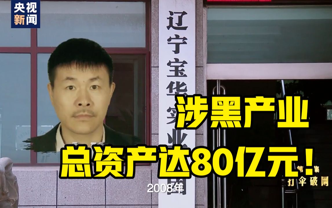 2起命案数百起犯罪 80亿涉黑资产 盘踞30年不倒!宋氏三兄弟“关系网”曝光哔哩哔哩bilibili