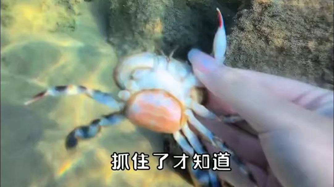 挑战荒岛生存15天 第13天