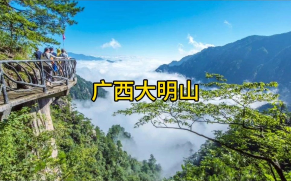 广西大明山 美景 旅游