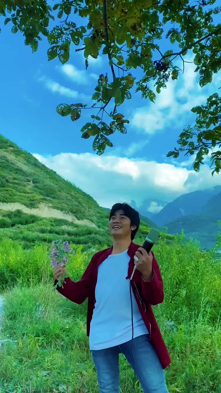 山中只见藤缠树哪有山中树缠藤抖音小助手