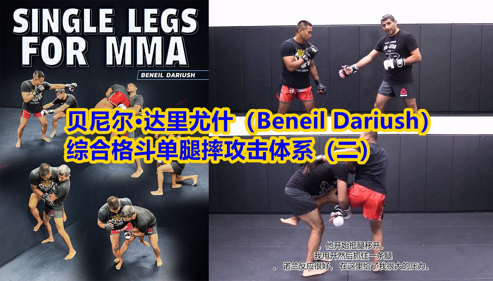 贝尼尔ⷨ𞾩‡Œ尤什(Beneil Dariush):综合格斗单腿摔攻击体系(二)哔哩哔哩bilibili