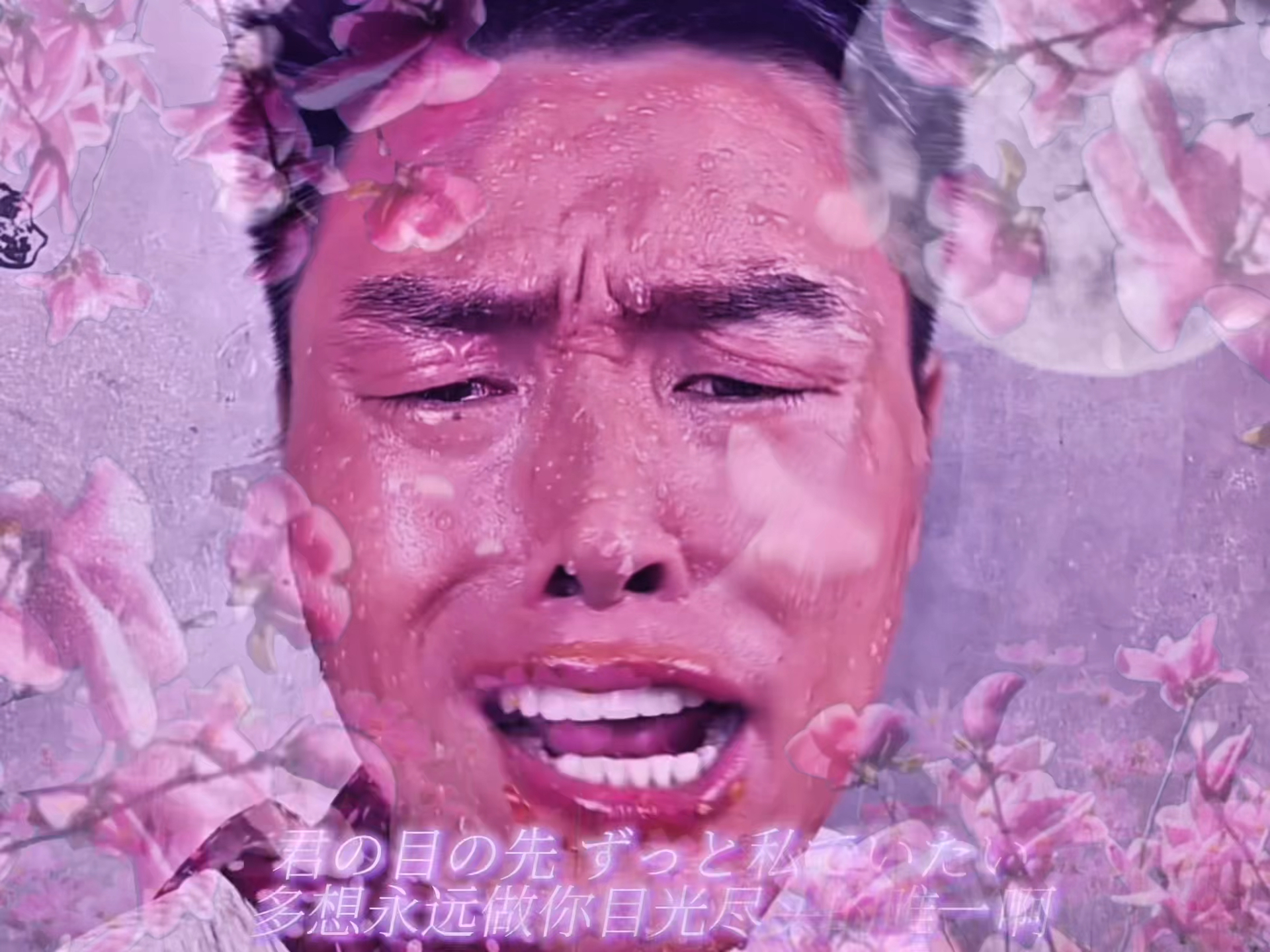 月色真美