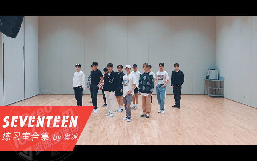 【奥冰整理】SEVENTEEN | 官方Choreography合集哔哩哔哩bilibili