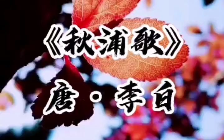 秋浦歌唐李白哔哩哔哩bilibili