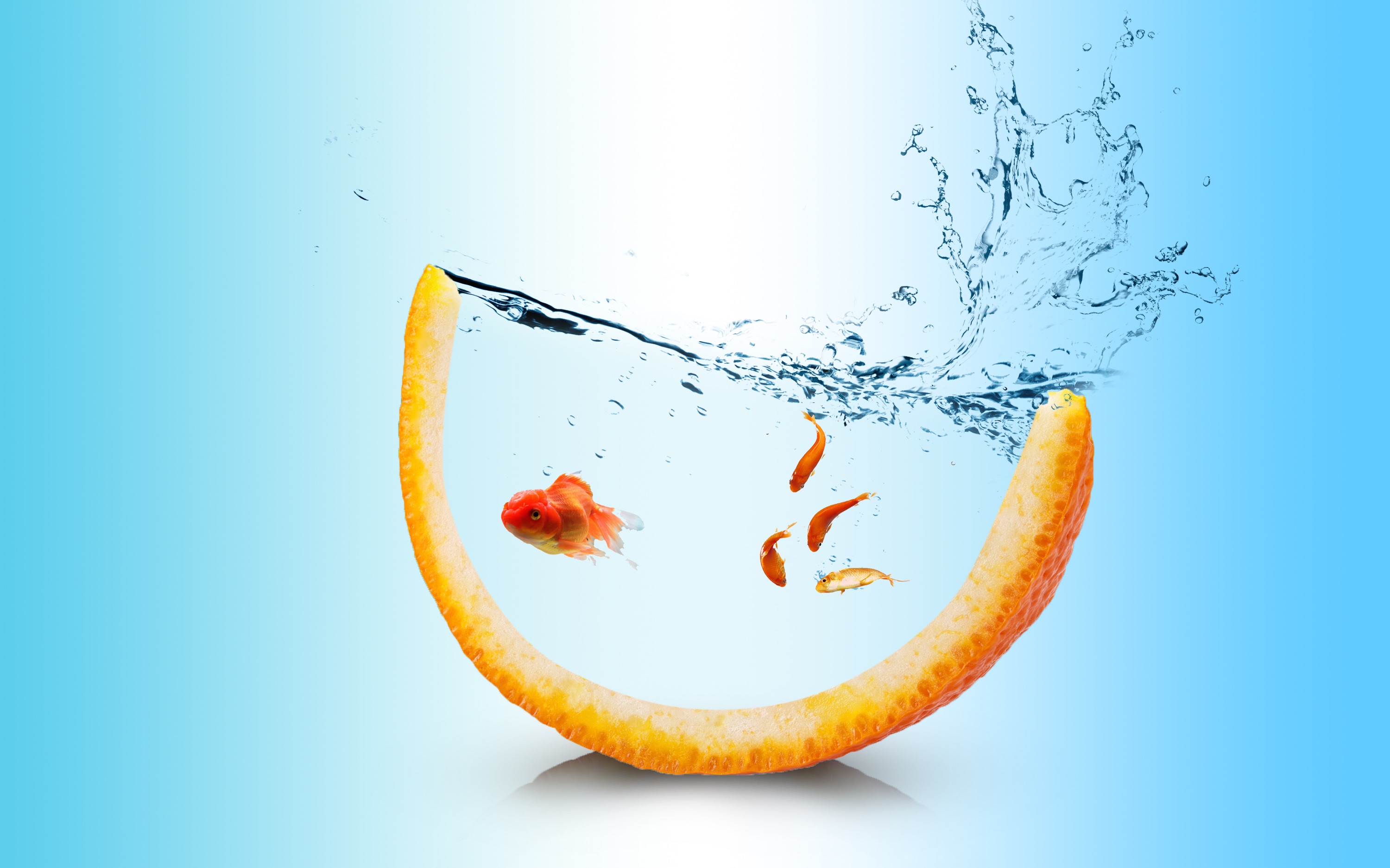 ps 橘子与鱼的合成_哔哩哔哩_bilibili