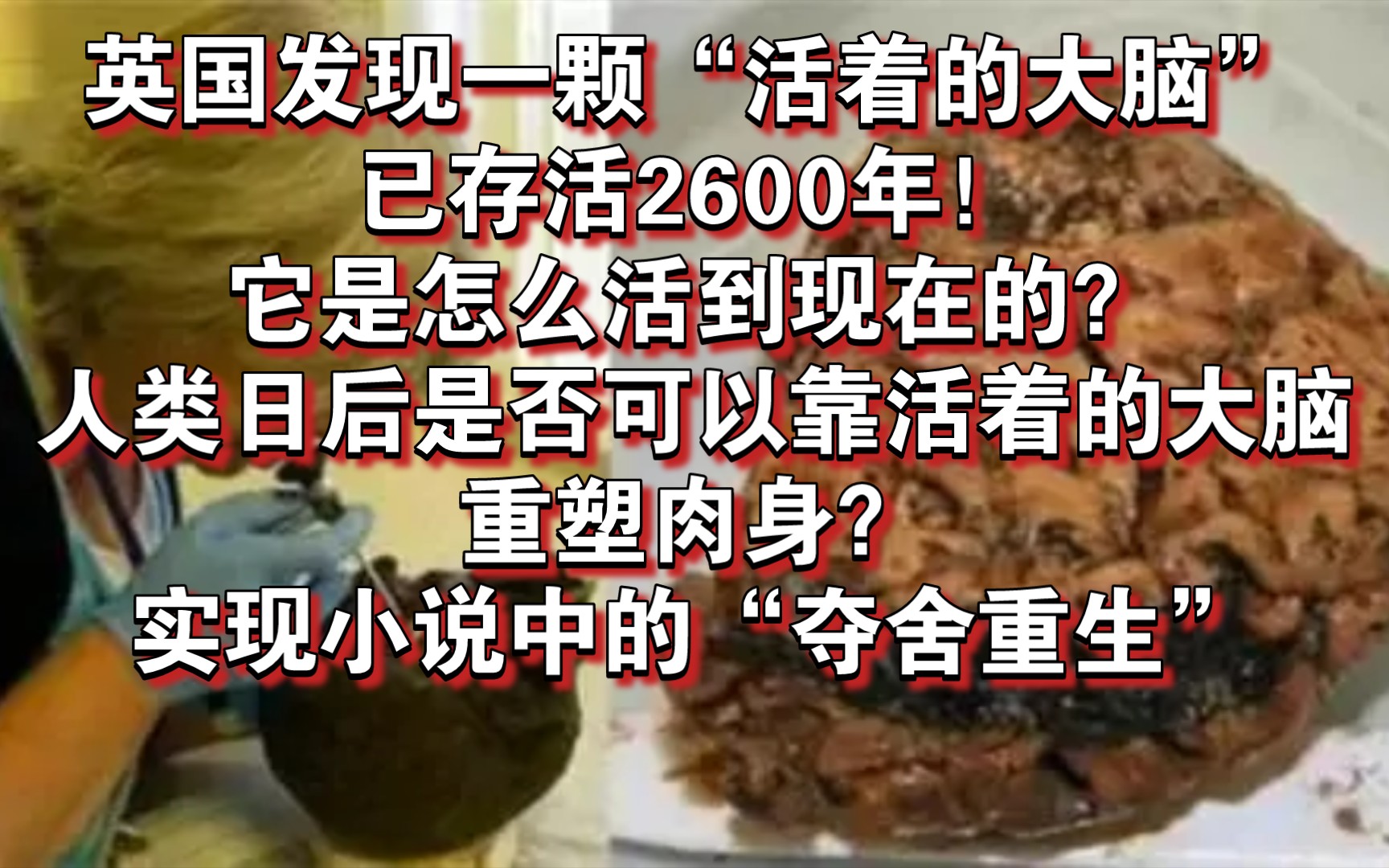 英国发现一颗“活着的大脑”,已存活2600年,它是怎么活到现在的?人类日后是否可以靠活着的大脑重塑肉身?实现修仙小说涨的夺舍重生?哔哩哔哩...