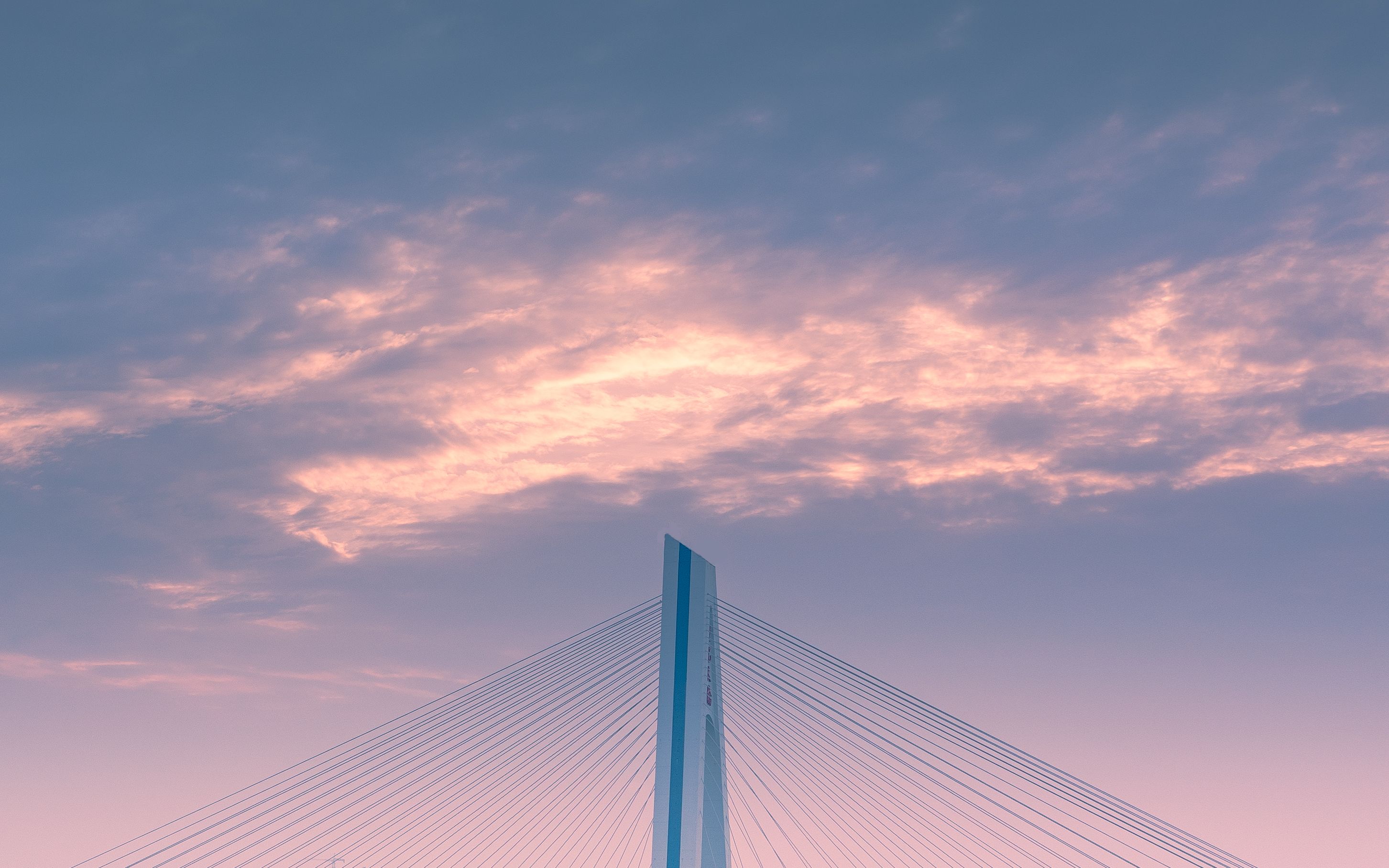 活动作品4k114514张照片带你穿梭海口日夜