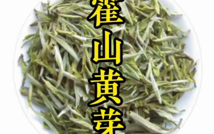 霍山黄芽黄茶的特点功效与作用和冲泡保存方法哔哩哔哩bilibili