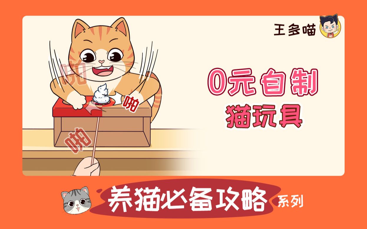 教你0元自制猫玩具,安全、耐玩、耐造!哔哩哔哩bilibili