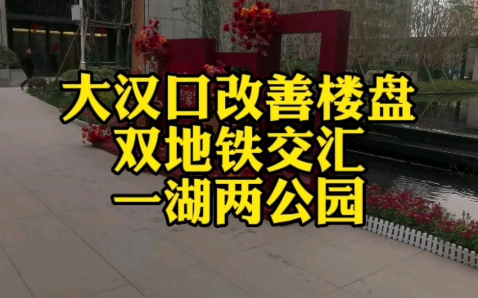 汉口改善楼盘,双地铁交汇,一湖两公园,9年一贯制的中小学.#武汉买房 #地铁口的房子 #武汉楼市哔哩哔哩bilibili