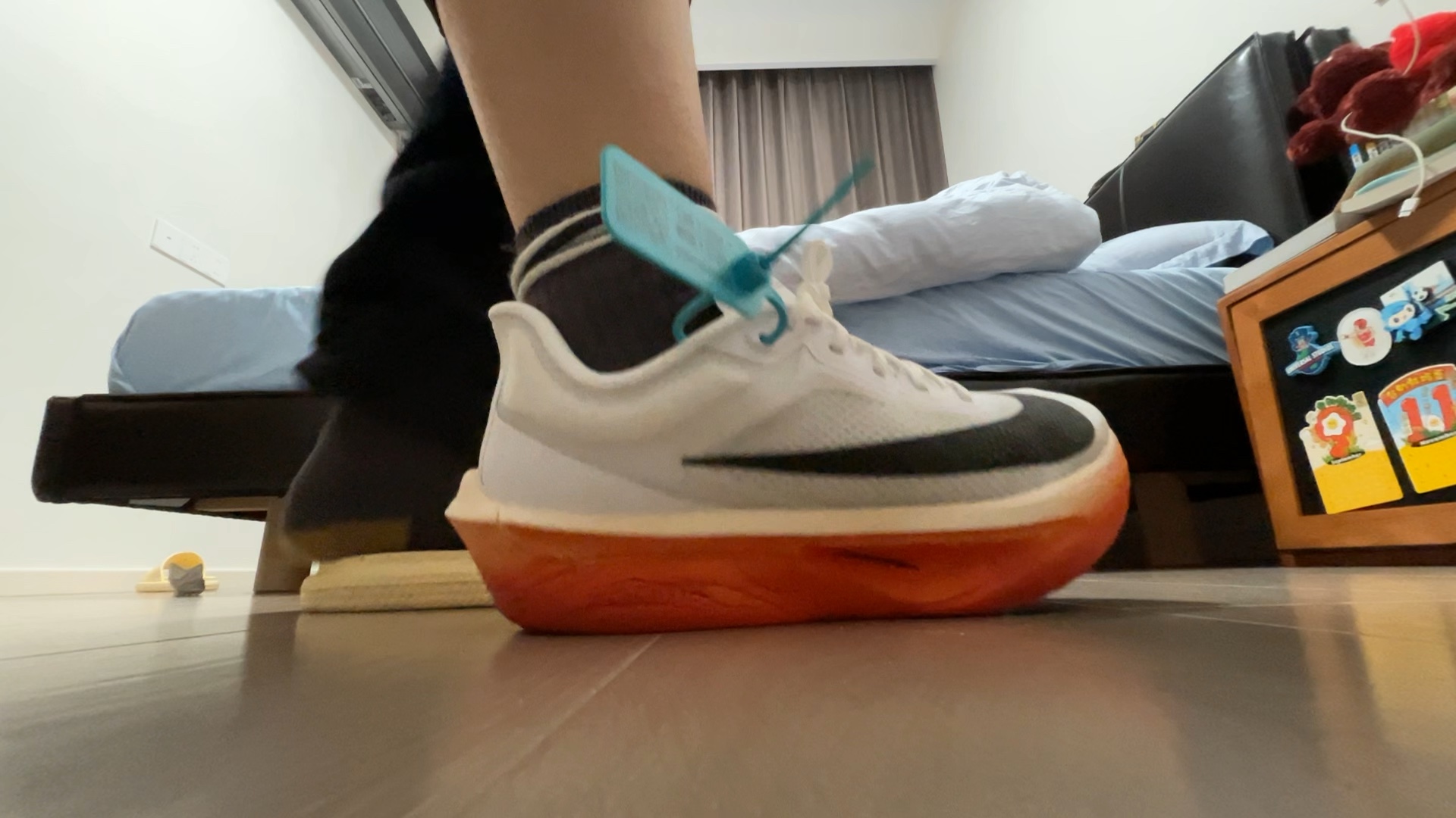fly6,基普乔格配色