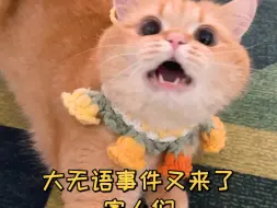 Descargar video: 我的猫居然做出了这种事？？？