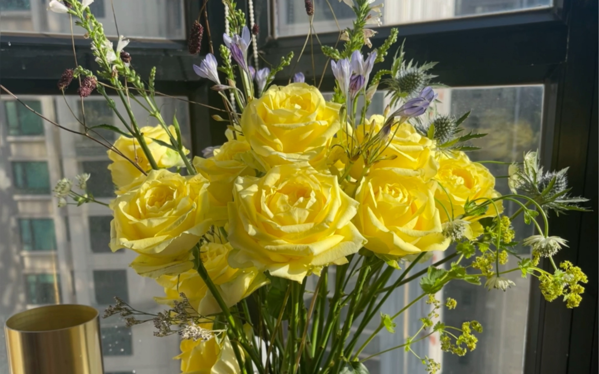 奇迹女神玫瑰的第三天