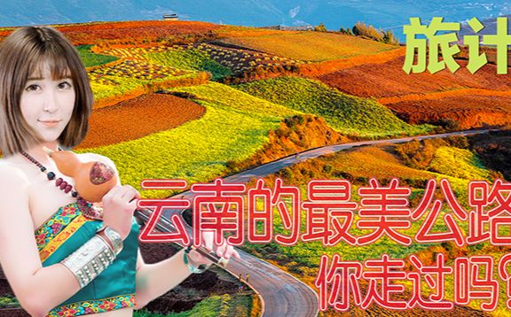 [图]旅计 云南最美的高速公路，带你穿越热带雨林与野象同行！