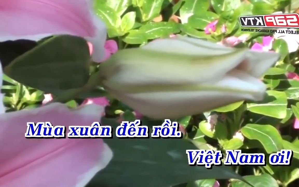 [图]VIỆT NAM ƠI MÙA XUÂN ĐẾN RỒI 带字幕 (SAP KTV)