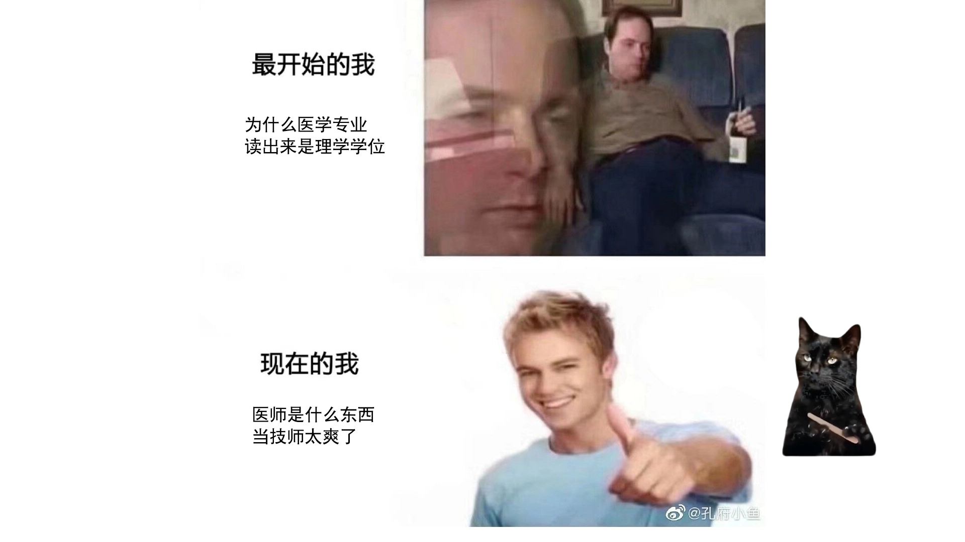 回答评论对猫meme《检验科的阴角》的问题-DMonitor-DMonitor-哔哩哔哩视频