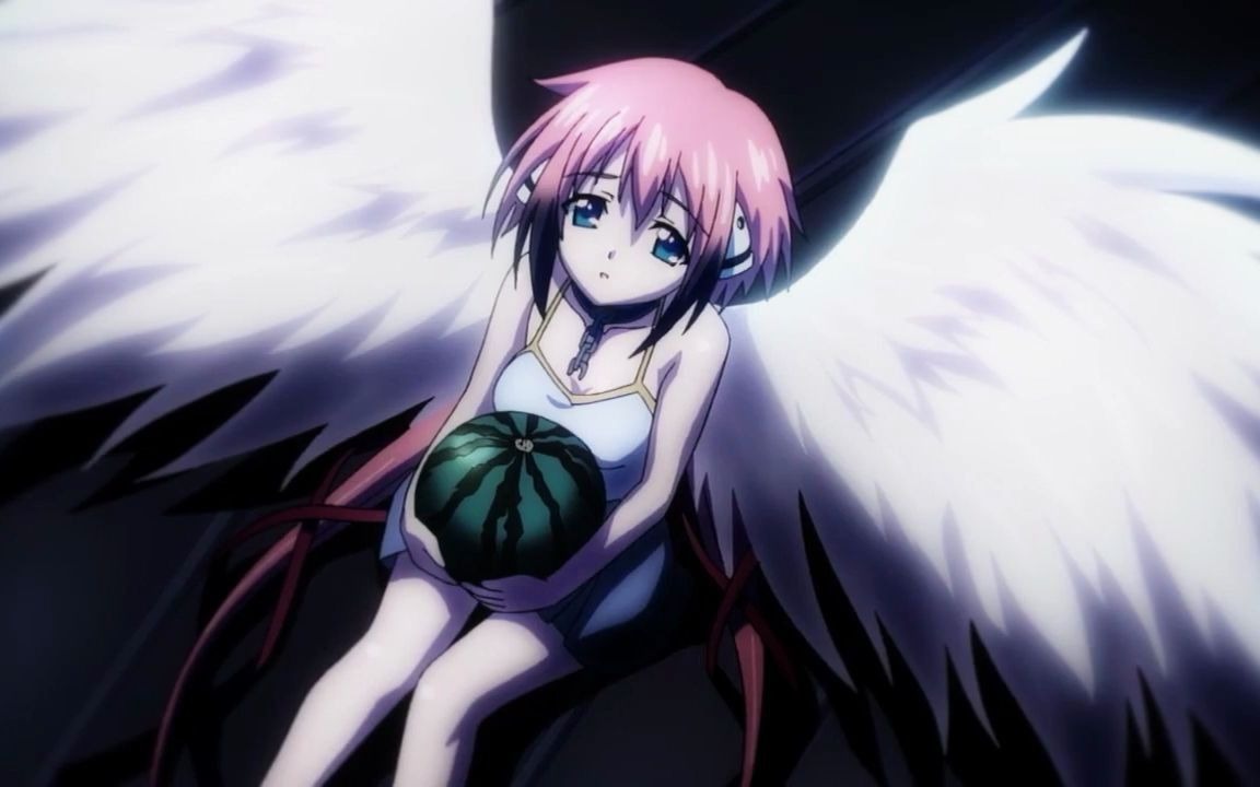 久纪x梦蝶舞一瞬のクオリア治愈催泪向