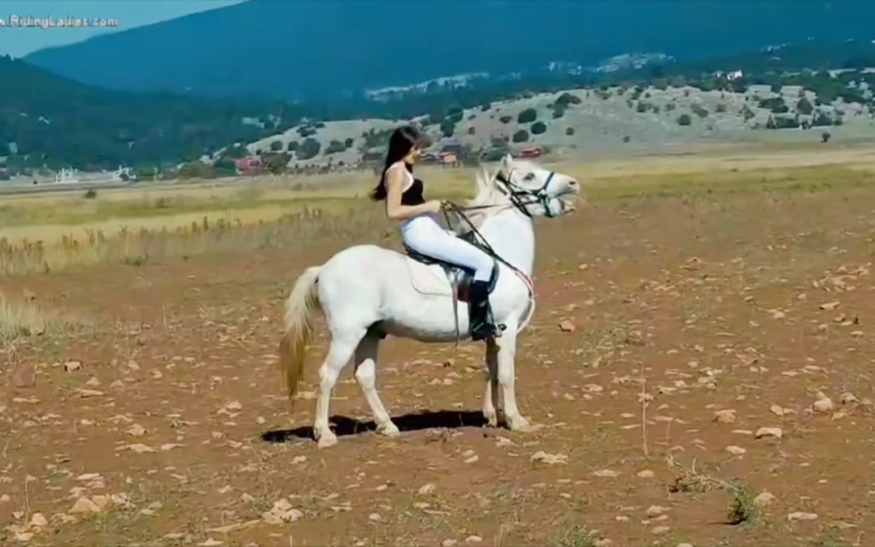 骑白马的不一定是王子,也可能是美女!