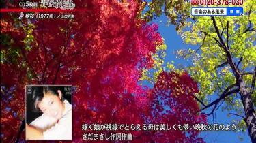 音楽のある風景 公式通販サイト》：ほろ酔い歌 64選(ラッピング