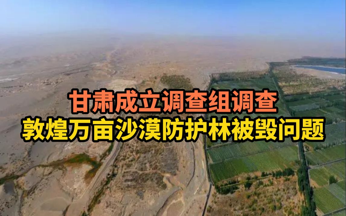 敦煌万亩防护林被毁甘肃成立调查组依法依规开展调查