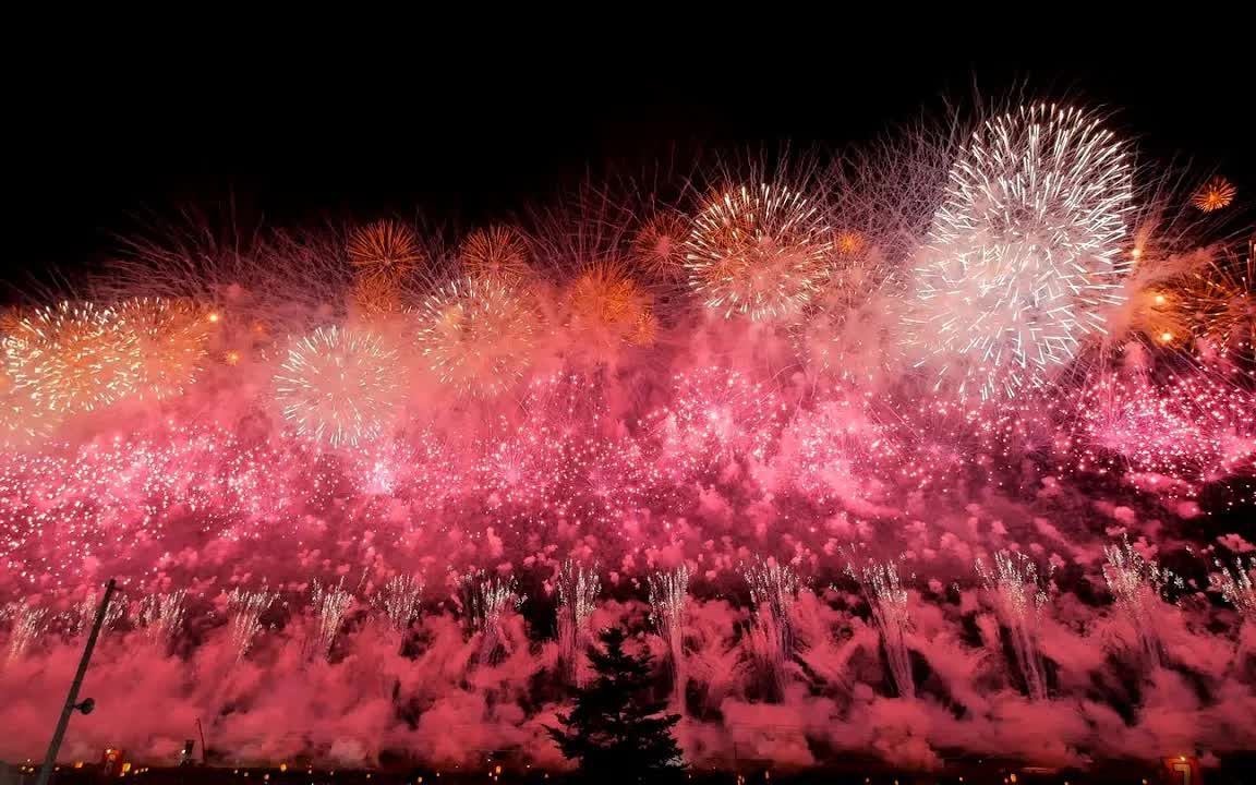 [图]【4K】2015大曲の花火 大会提供花火「浅木梦」