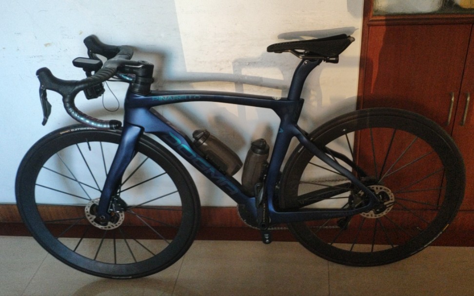 上海 皮娜-狗妈 f12