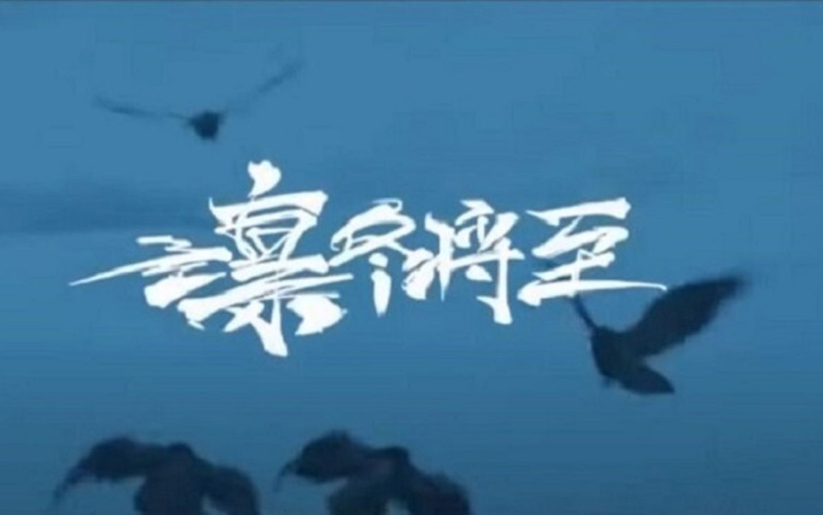 k院长小杏仁梁维嘉黄硕贝利西奥法老凛冬将至officialmv