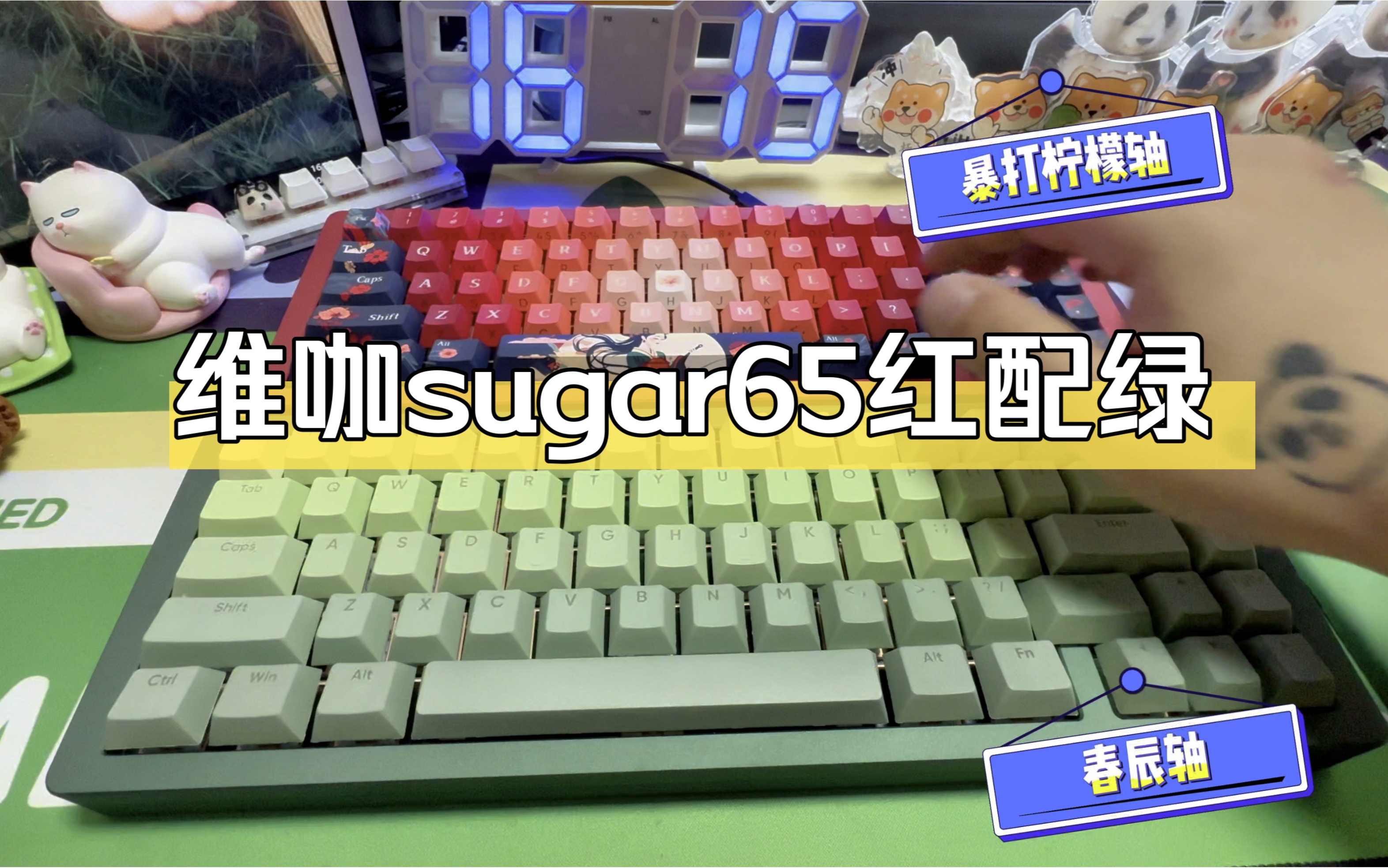 维咖sugar65铝坨坨套件开箱,红配绿 | 春辰轴vs暴打柠檬轴哔哩哔哩bilibili