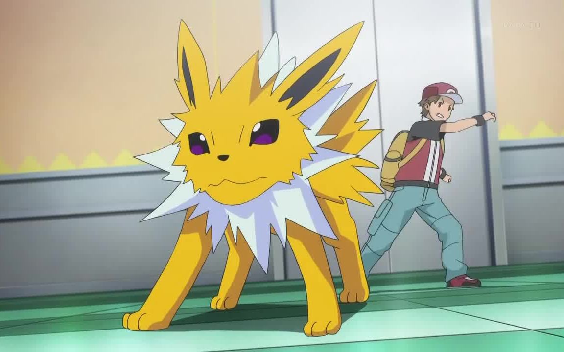 宝可梦剑盾对战53凶猛输出雷伊布