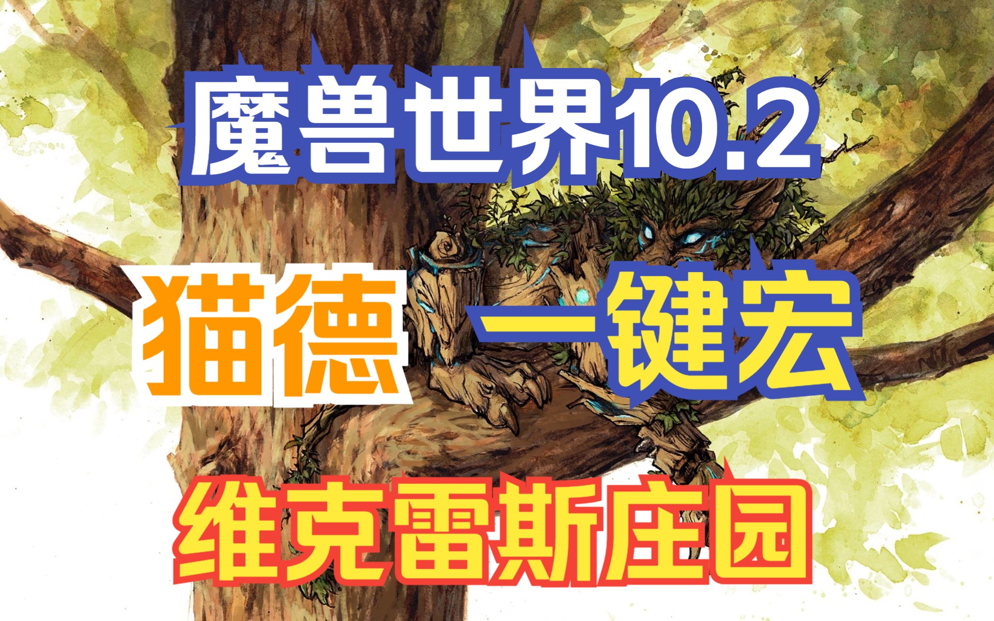 魔兽世界 10.2 猫德 一键宏 维克雷斯庄园网络游戏热门视频