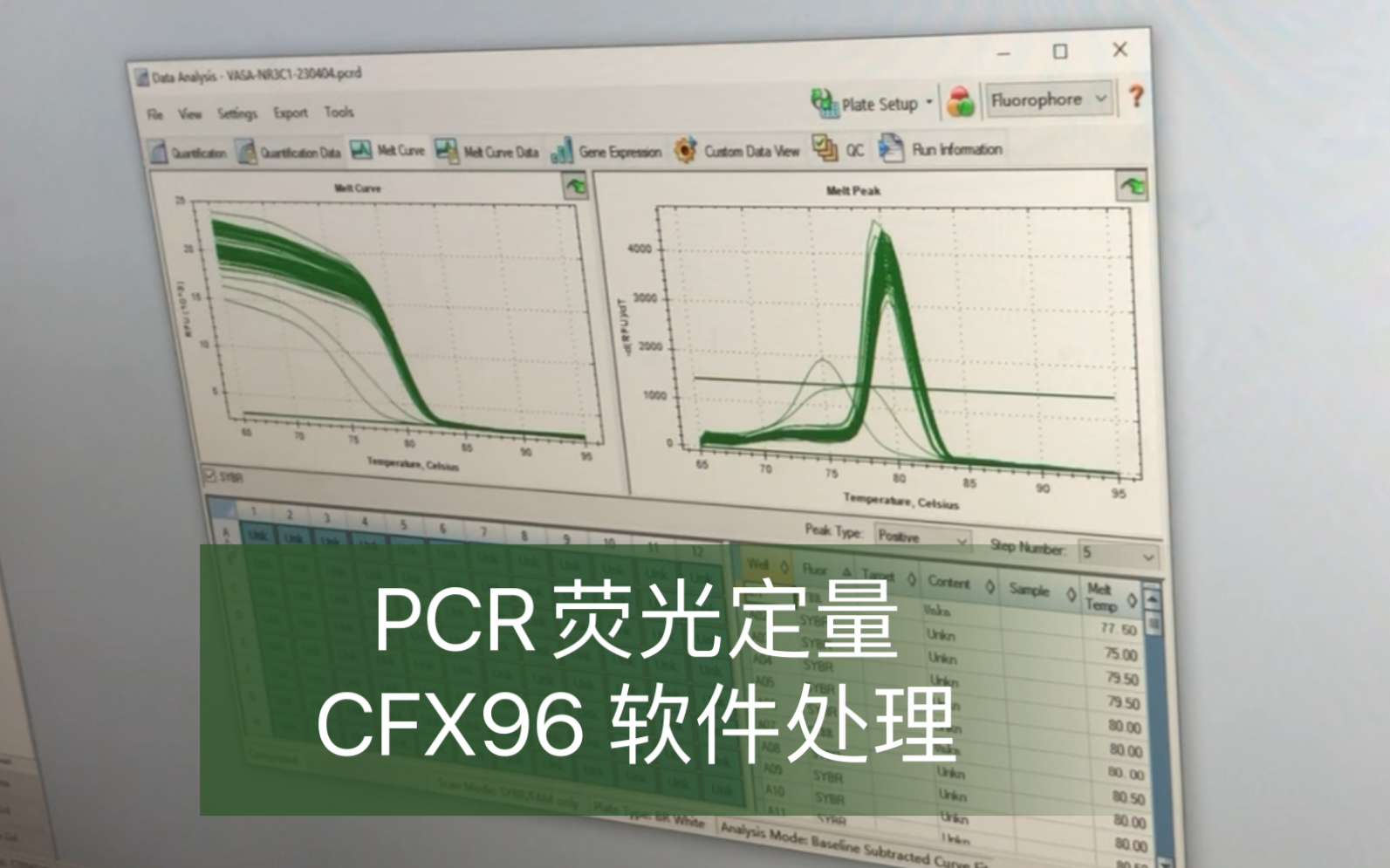 【科研】荧光定量PCR软件处理教程哔哩哔哩bilibili