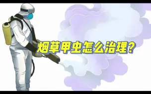 Download Video: 烟草甲虫怎么治理？