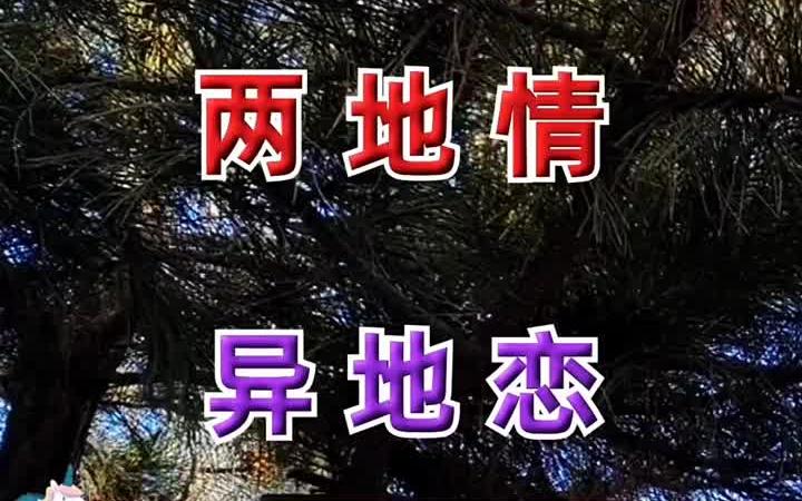 《两地情异地恋》 音乐