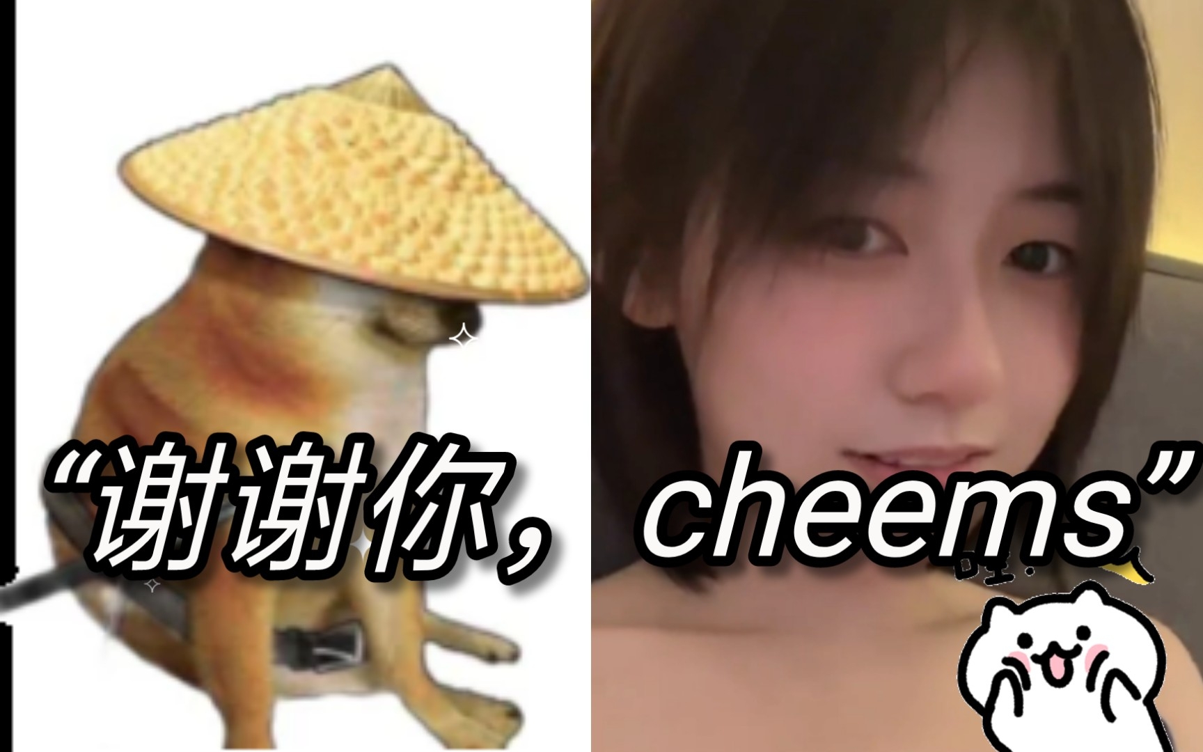 "谢谢你,cheems "