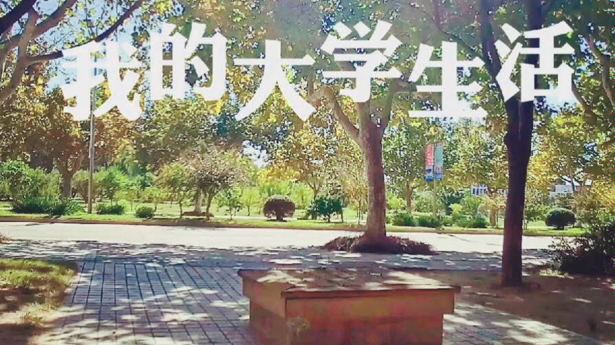 宿迁学院哔哩哔哩bilibili