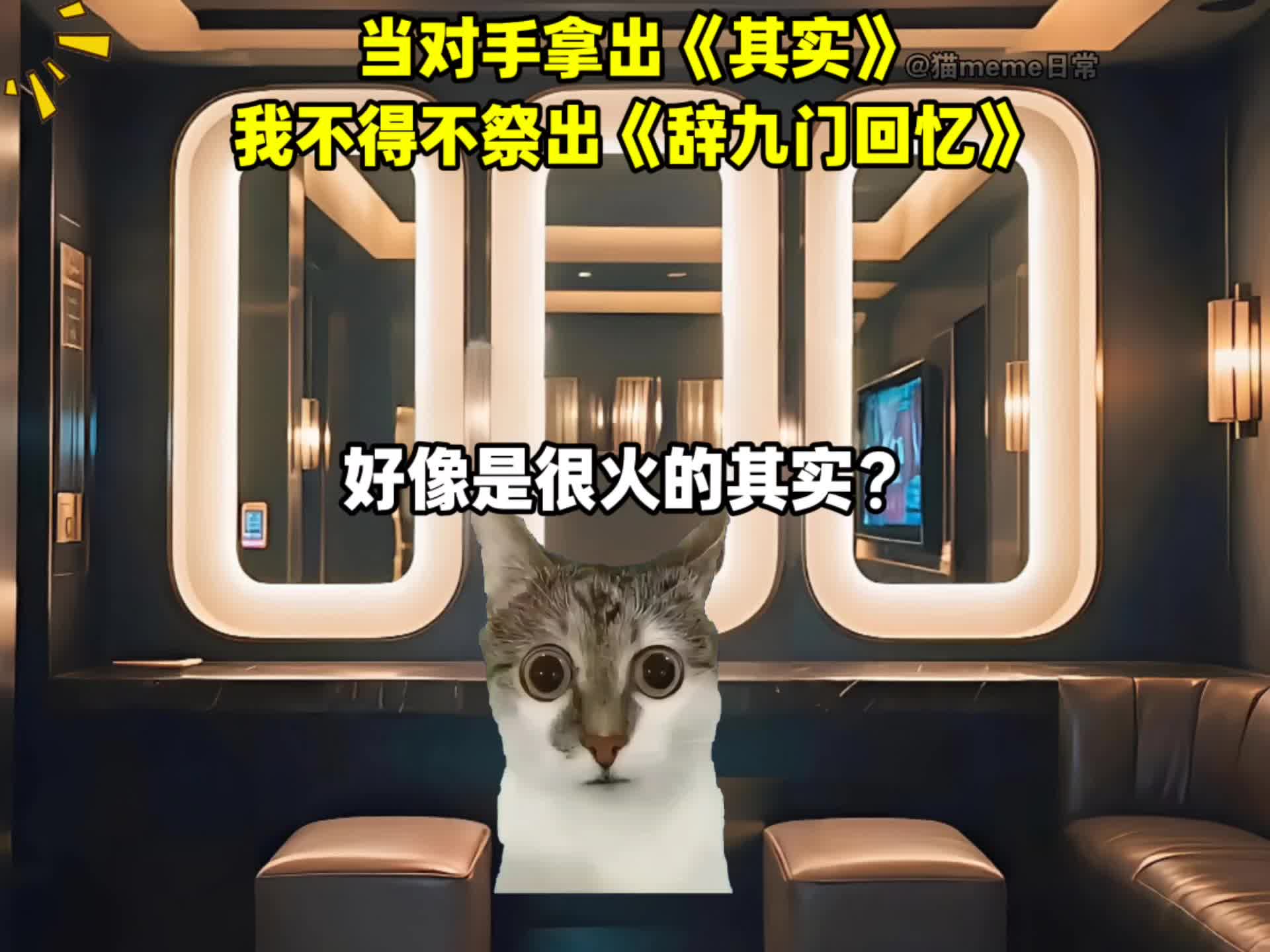 当对手拿出《其实》,我不得不祭出《辞九门回忆》-猫meme日常方式-猫meme日常方式-哔哩哔哩视频