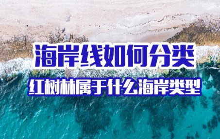 海岸分类你知多少~我们常说的海岸红树林属于什么海岸类型?哔哩哔哩bilibili